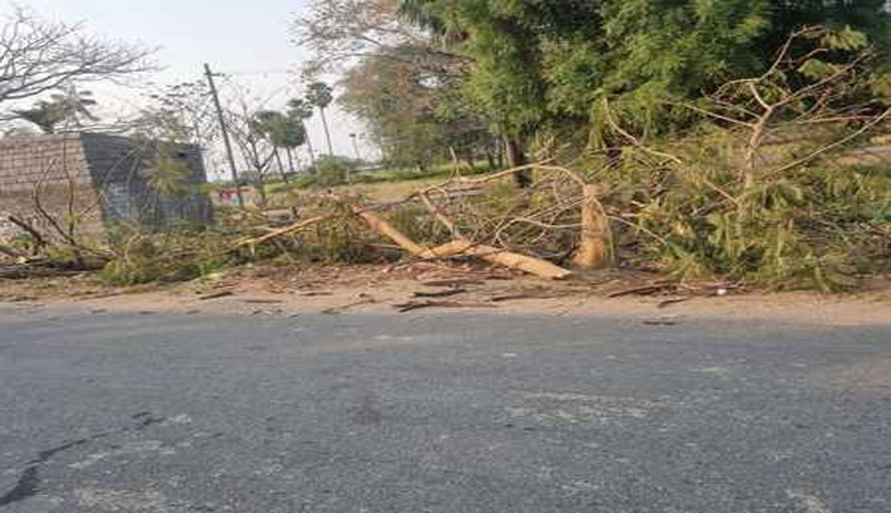 kalvasrirampoor | హరితహారం చెట్లు అక్రమంగా నరికివేత