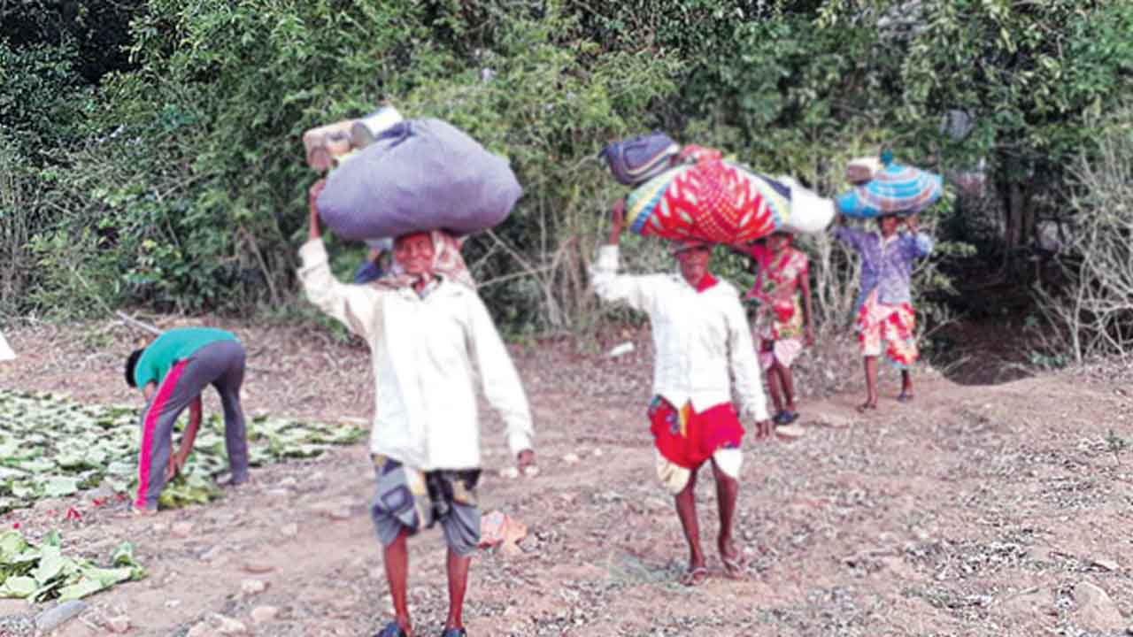 భూమిపై గిరిజనుల హక్కులు నిరాకరణ!