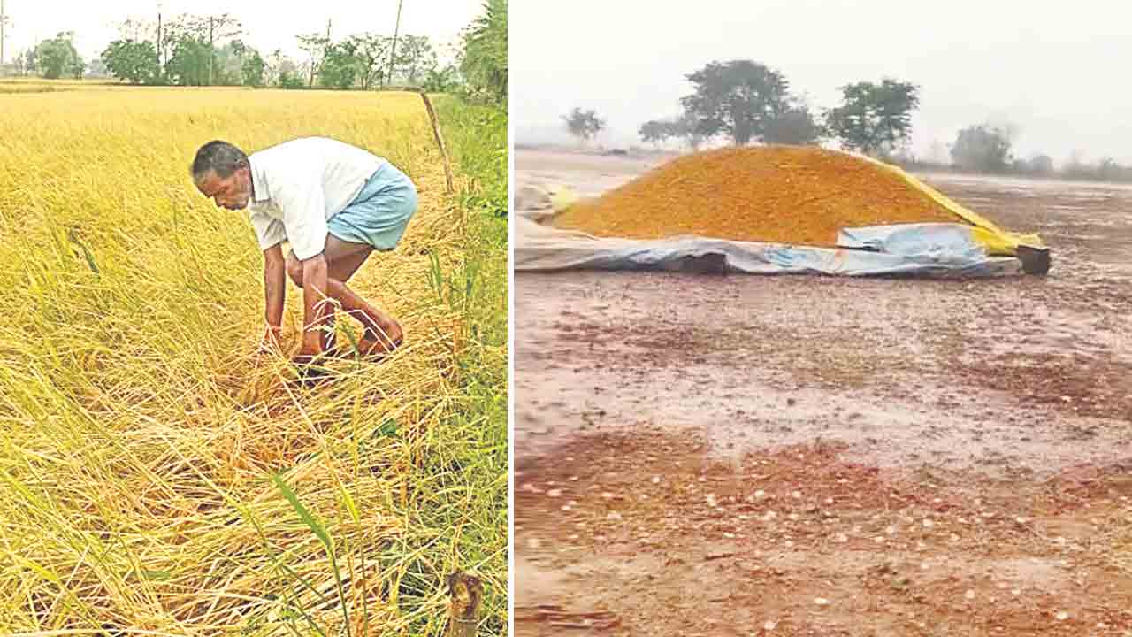 కడగండ్లు మిగిల్చిన వడగండ్లు