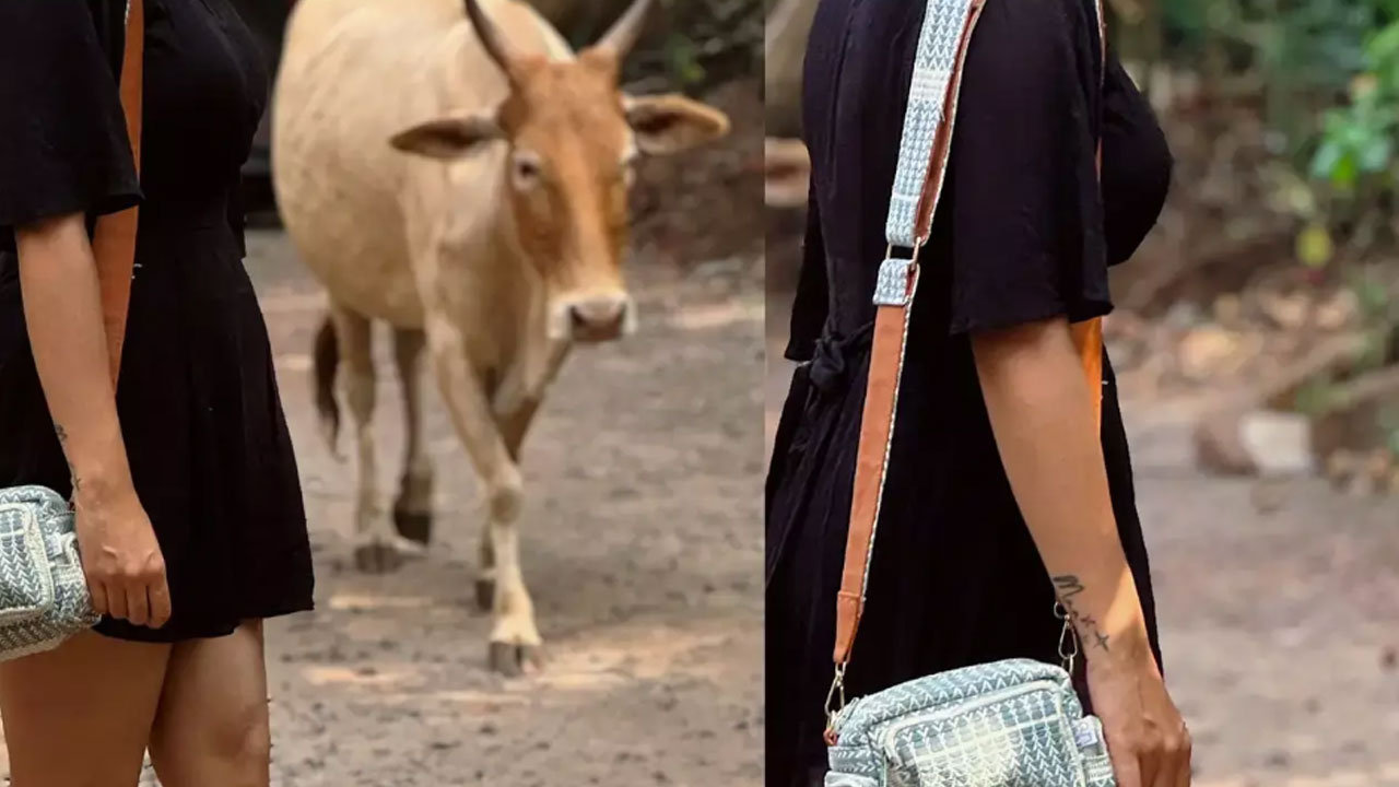 Varsha bollamma | పొట్టి దుస్తుల‌లో వ‌ర్ష‌.. స్టుపిడ్ కామెంట్స్ చేసే వారికి భ‌లే ఇచ్చి పడేసింది..!