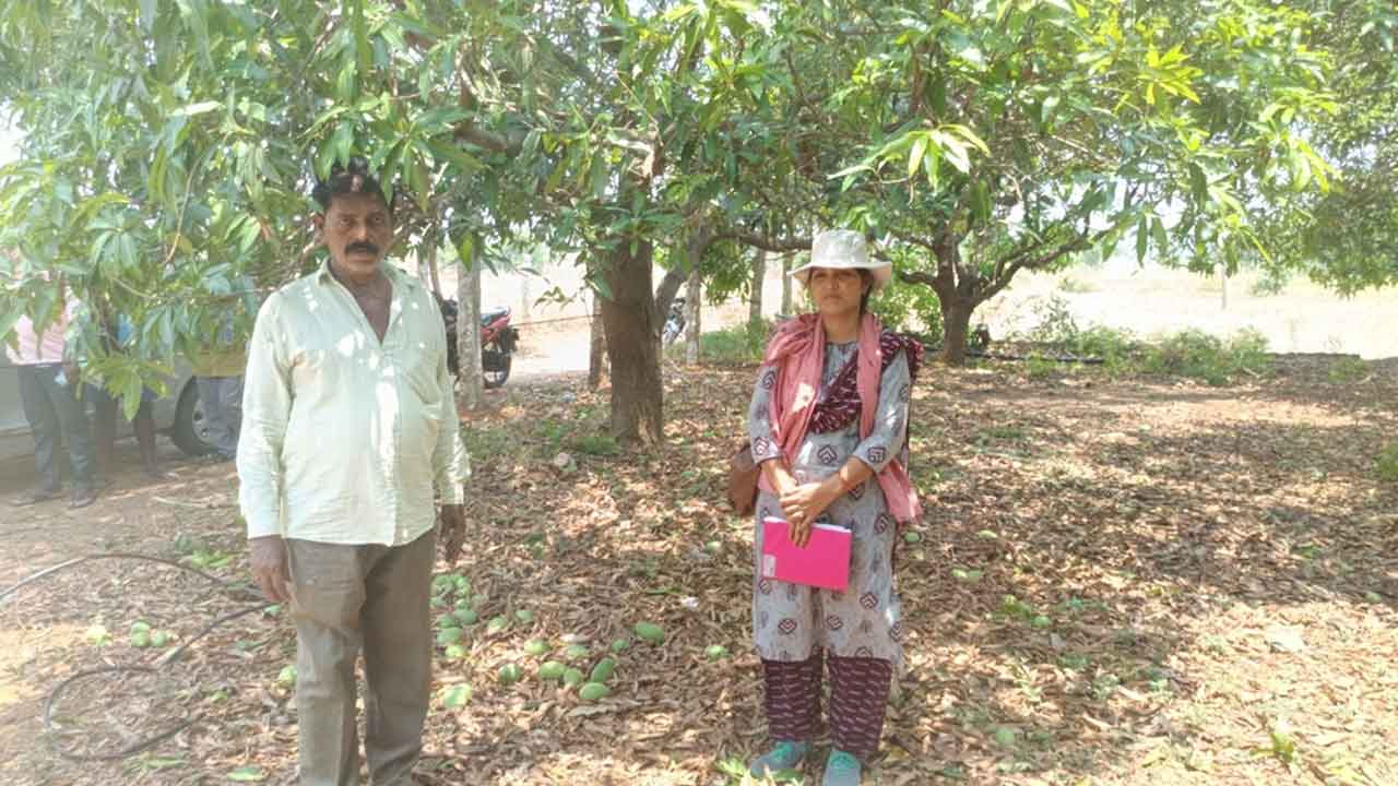 Heavy rains | వేలేరు మండలంలో గాలివాన బీభత్సం.. నేలరాలిన మామిడి