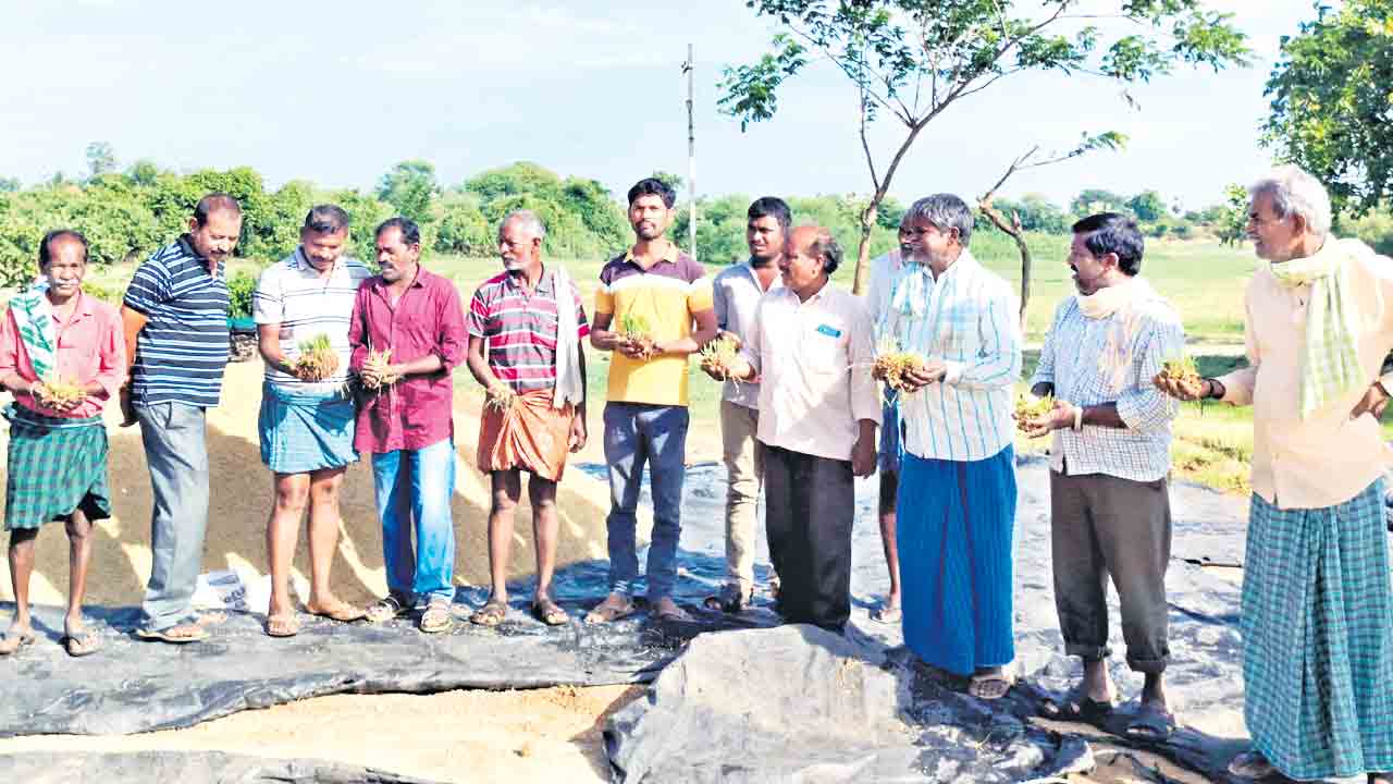 మొలకెత్తిన ధాన్యం.. కొనుగోలు కేంద్రాల్లో తడుస్తున్న వడ్లు