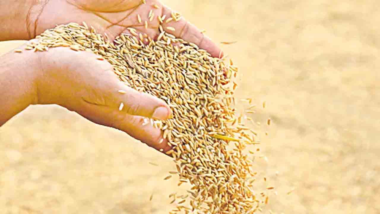 ప్రైవేటు వ్యక్తుల వద్ద విత్తనాలు కొనవద్దు