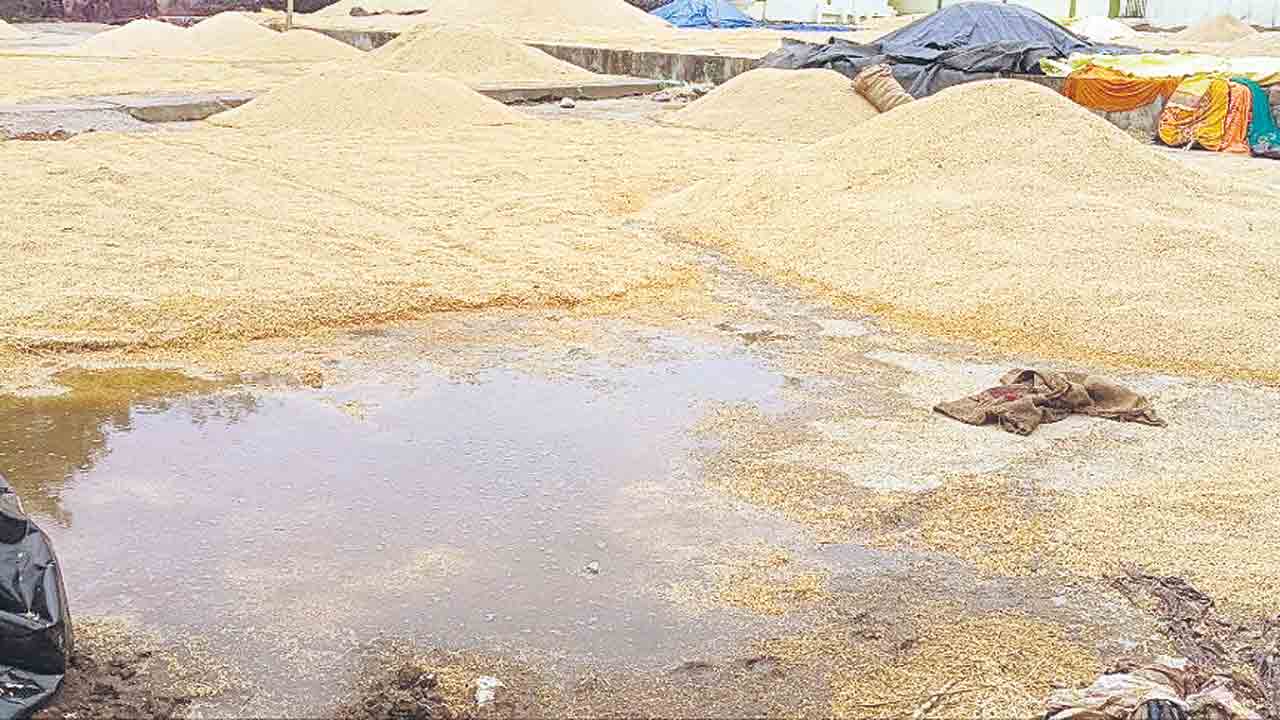 రెక్కల కష్టం నీటిపాలు