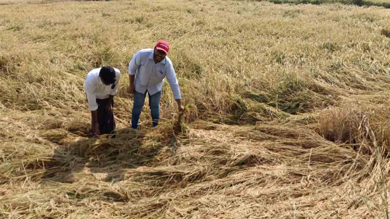 పరిహారం.. పరిహాసమేనా ?