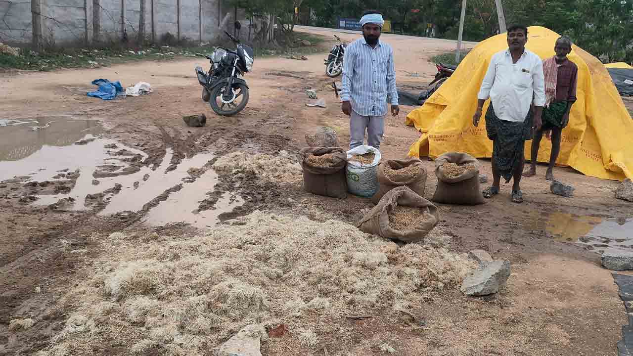 ధాన్యం తడిచినా పట్టని అధికారులు