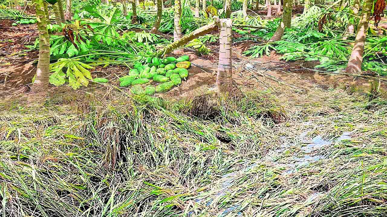 అకాలం.. అతలాకుతలం