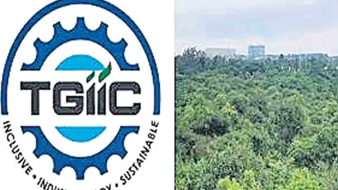Telangana | నిధుల కోసం నయా ప్లాన్.. టీజీఐఐసీ ల్యాండ్ బ్యాంక్పై కన్నేసిన  కాంగ్రెస్ సర్కార్