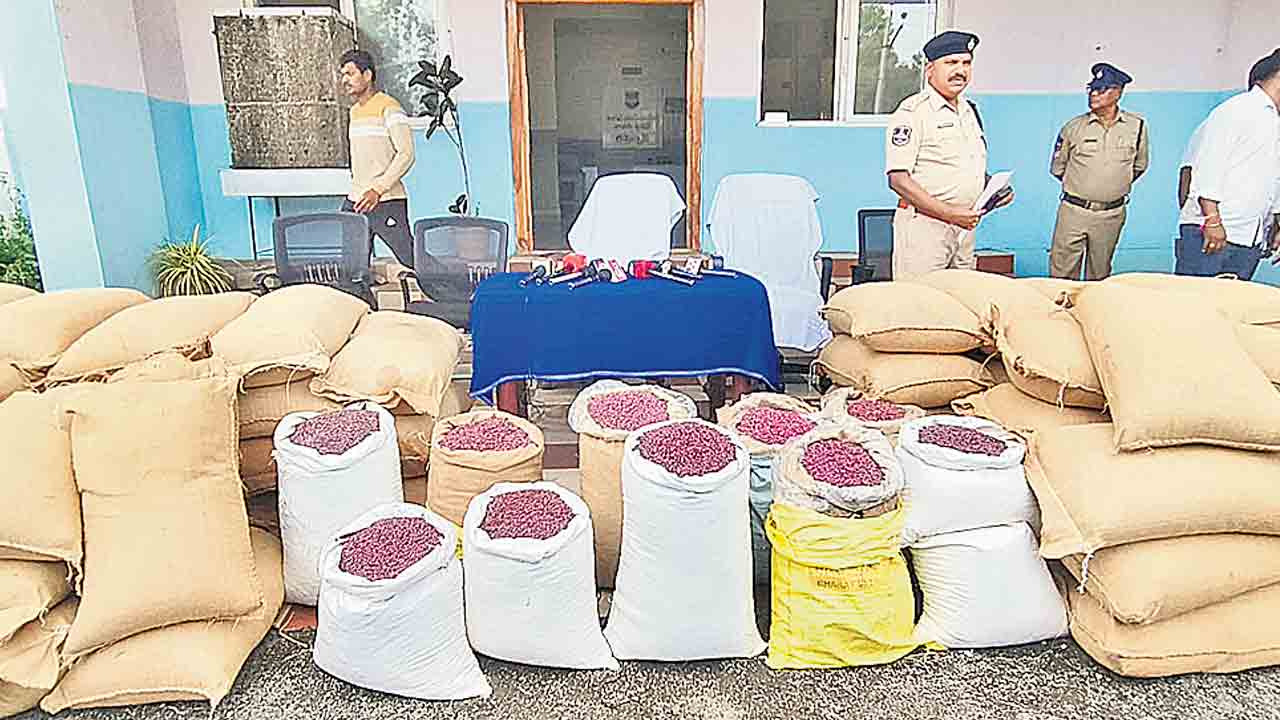 20 క్వింటాళ్ల నకిలీ పత్తి విత్తనాల పట్టివేత