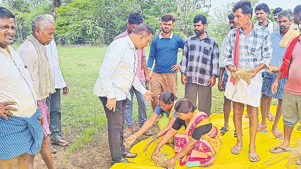 Mahabubabad | కాళ్లు మొకుతా బాంచెన్‌.. మా వడ్లను కొనండి.. తహసీల్దార్‌ కాళ్లపై పడి విలపించిన మహిళా రైతులు