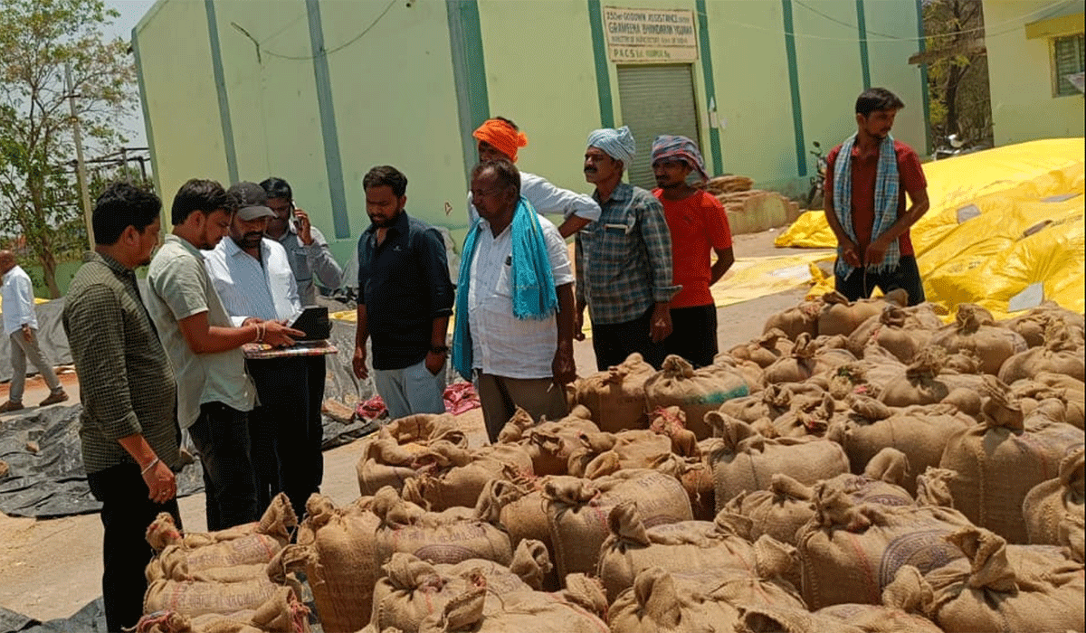  purchasing center | పెద్ద కొడప్గల్‌లో జొన్నల కొనుగోలు కేంద్రం పరిశీలన