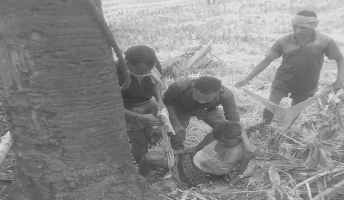 Dongatturthi | దొంగతుర్తిలో తాటిచెట్టు పైనుంచి పడి గీత కార్మికుడికి తీవ్ర గాయాలు