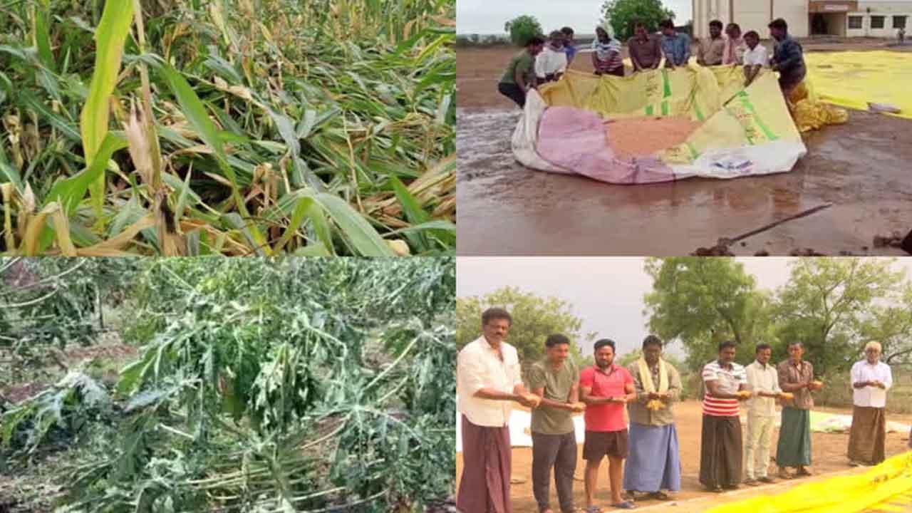వడగండ్ల వానకు దెబ్బతిన్న పంటలు