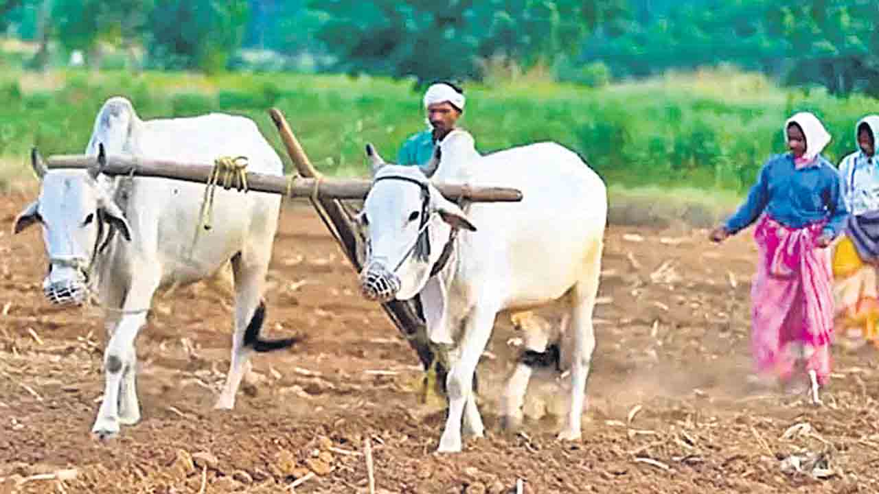 అన్నదాత కుటుంబాలకు ఆసరా ఏదీ?