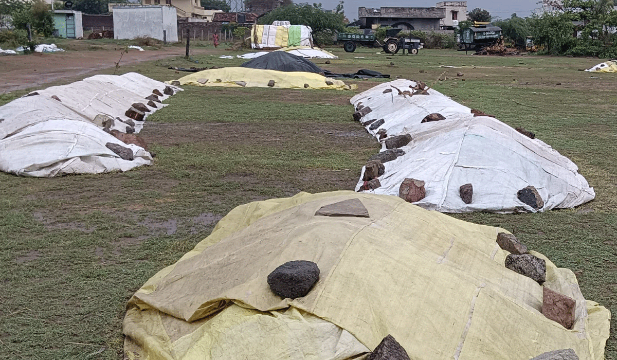 Raindrops | వర్షం.. వర్షం.. వడ్లెట్ల..! రైతుల ఆందోళన