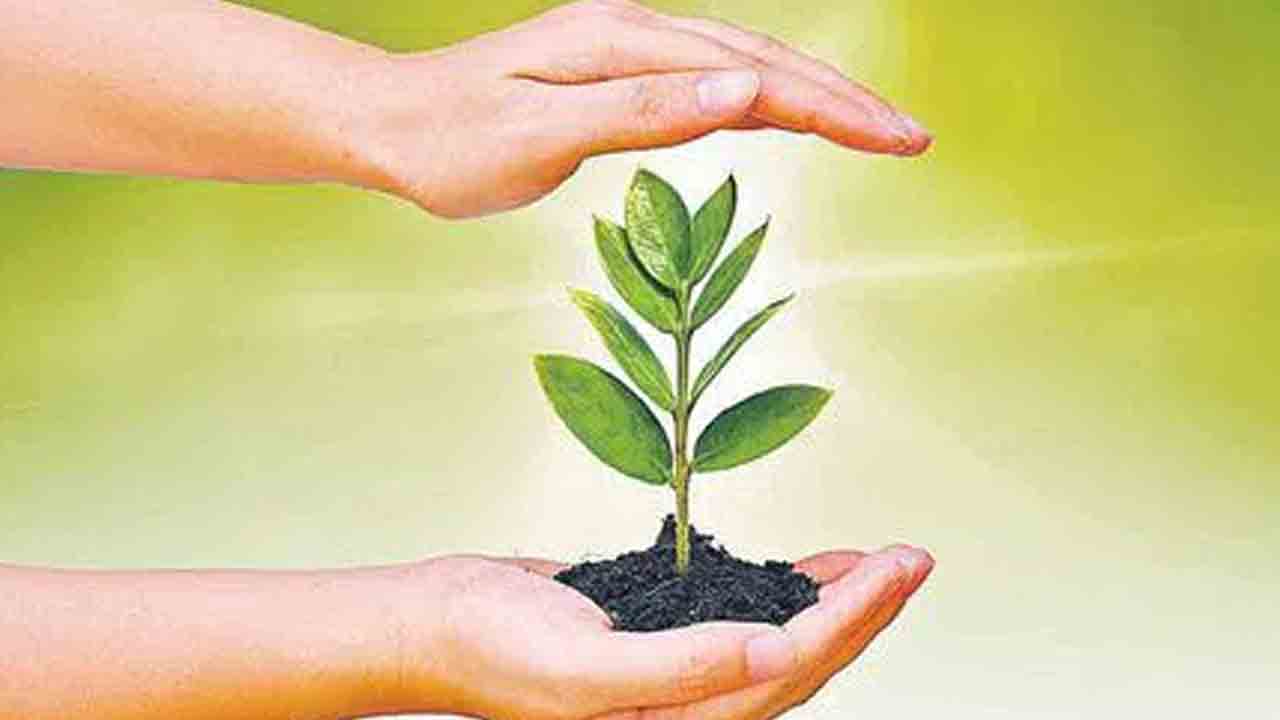 వన మహోత్సవానికి కేంద్ర నిధులు ఉపయోగించాలి