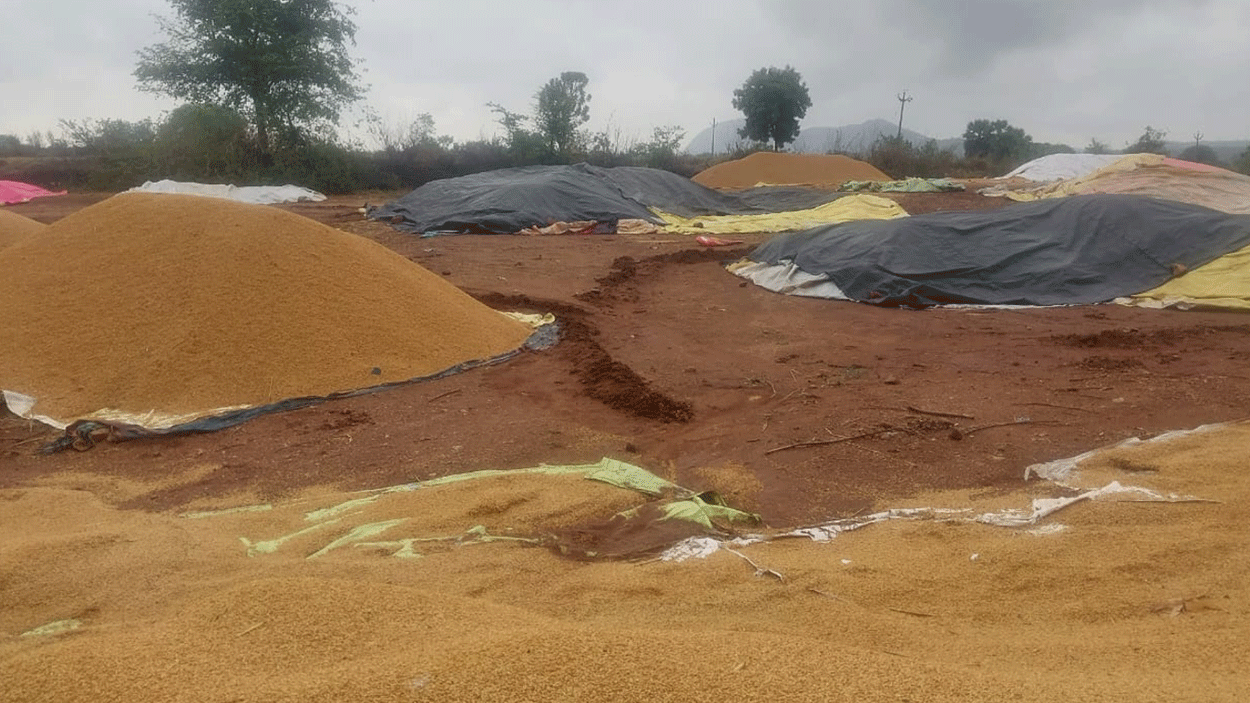Formers | అకాల వర్షాలతో తడిసిన ధాన్యం.. అన్నదాతల ఆందోళన