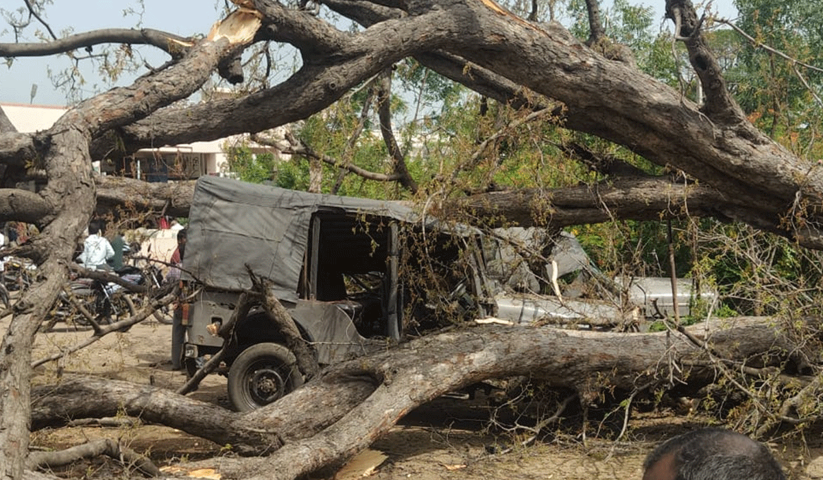 Dharmaram | ధర్మారంలో చింత మాను వృక్షం పడి 2 జీపులు ధ్వంసం.. రూ.10 లక్షల నష్టం