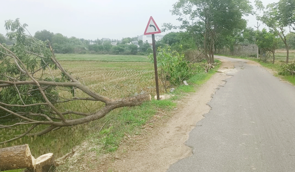 Cutting Green Trees | లక్ష్మీపూర్ లో హరితహారం చెట్ల నరికివేత