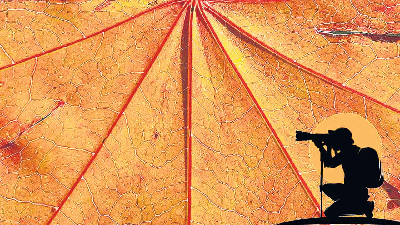 మరింత లోతుగా.. స్పష్టంగా!