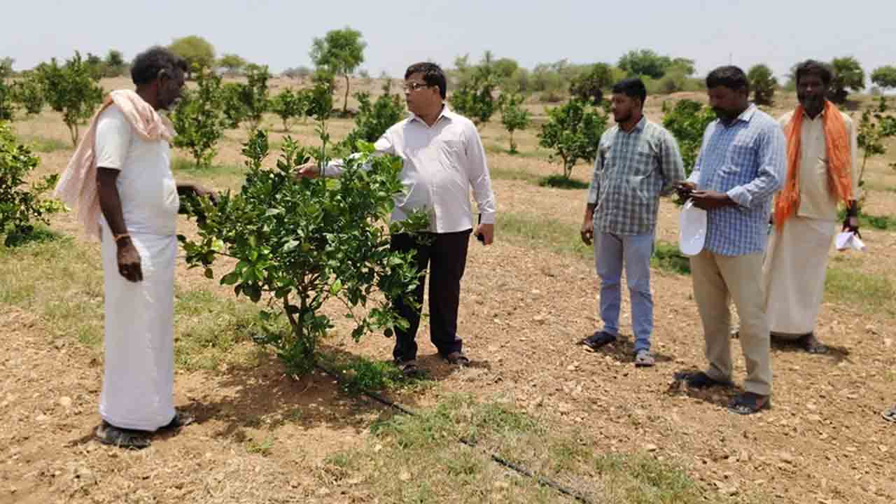 Commercial Crops | రైతులు వాణిజ్య పంటల సాగుపై దృష్టిని సారించాలి : ఇన్‌చార్జి అదనపు కలెక్టర్ నర్సింగరావు