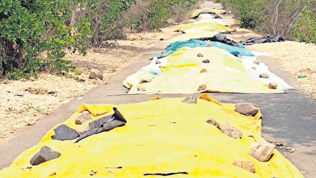 ఎక్కడి ధాన్యం అక్కడే..