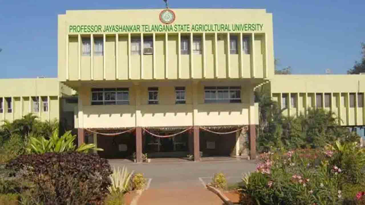 ప్రశాంతంగా వ్యవసాయ యూనివర్సిటీ నాన్‌ టీచింగ్ ఉద్యోగుల ఎన్నికలు