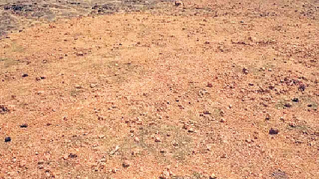 భూదాన్‌ భూములు మాయం.. తప్పుడు ఎన్వోసీలతో భూములు కాజేస్తున్న ‘ఘనులు’