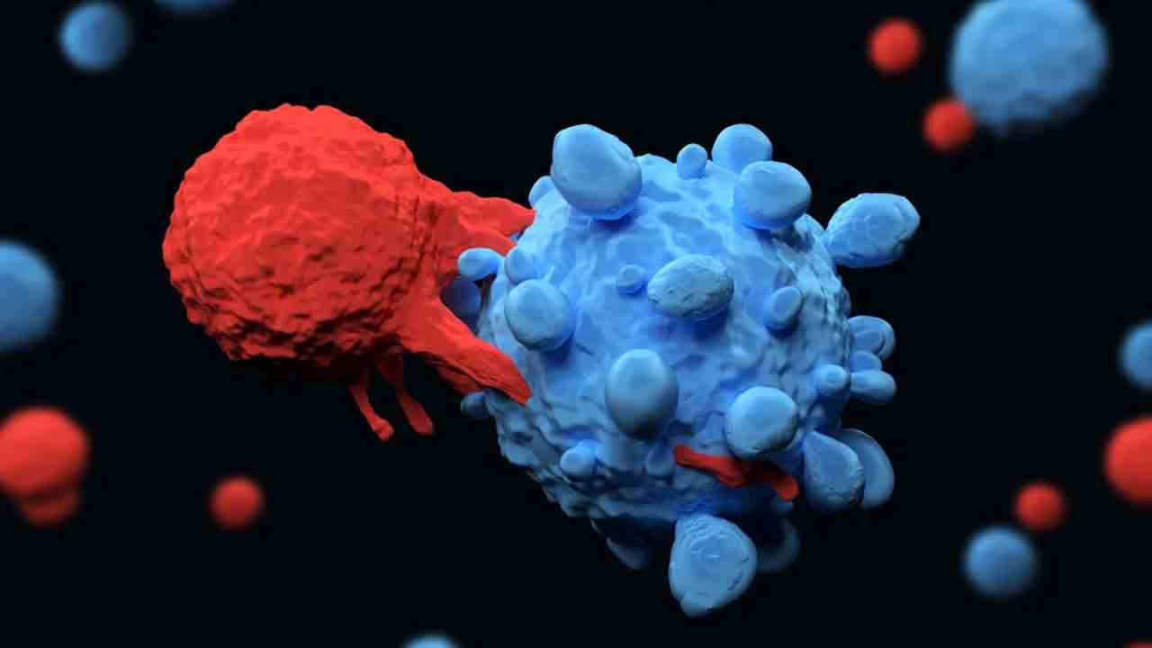 CAR T therapy | కార్‌-టీ థెరపీతో లుకేమియాకు చెక్‌.. ఐసీఎంఆర్‌ ఫేజ్‌-1 ట్రయల్స్‌లో ఘనవిజయం