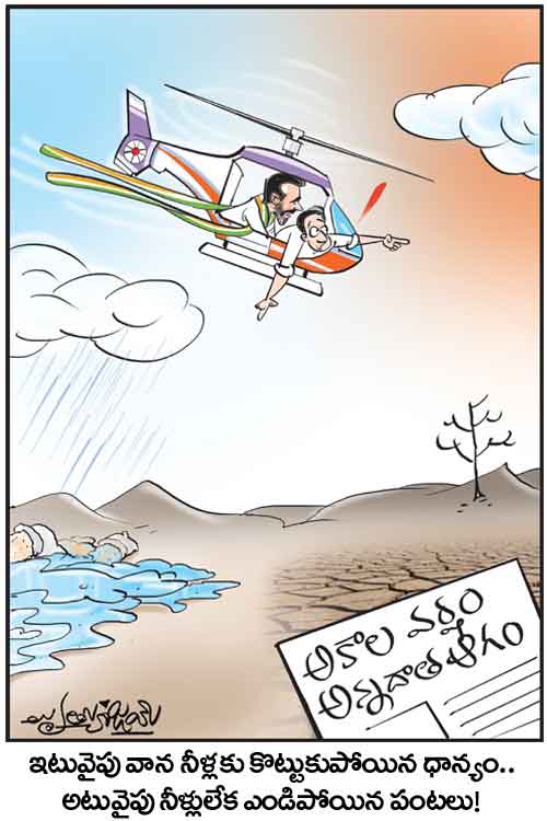 Cartoon