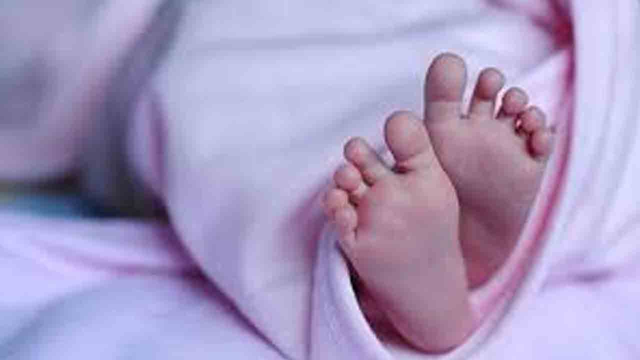Snake Bite | సిరిసిల్లలో విషాదం.. పాముకాటుకు 18 నెలల చిన్నారి బలి
