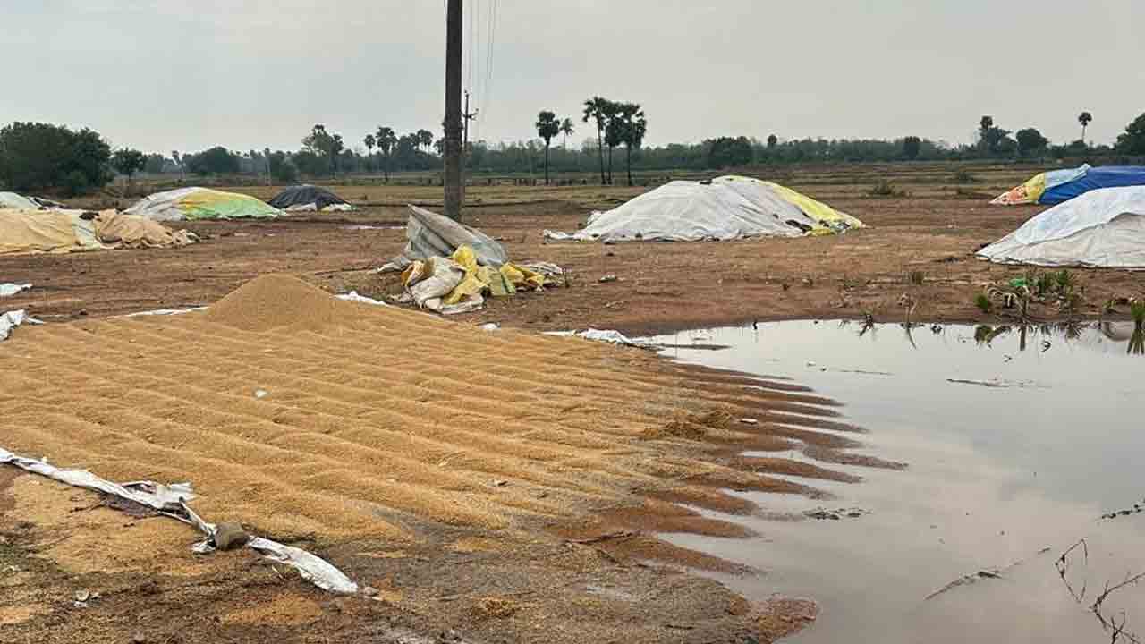 గోనె సంచుల్లేవు… లారీలు రావు.. ధాన్యం కొనుగోళ్లు ముందుకు సాగేదెలా?