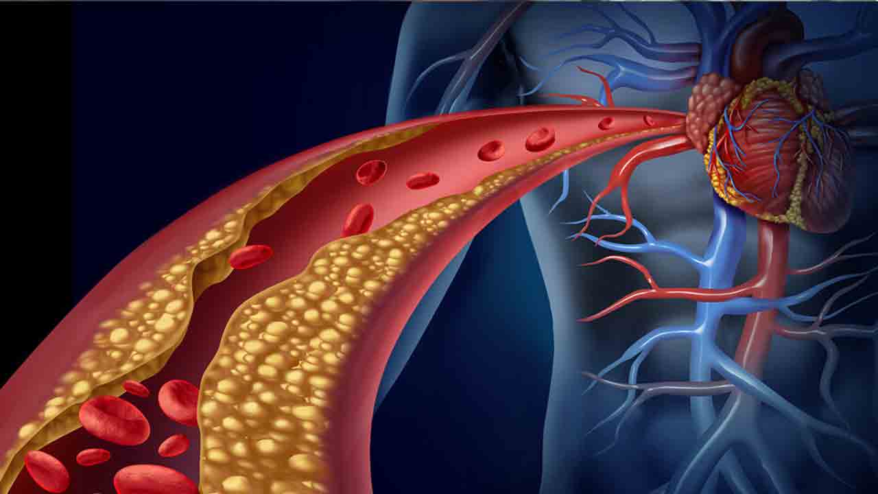 Health tips | రోజూ ఈ గింజలు తింటే కొవ్వు ఐస్‌లా కరిగిపోతుంది తెలుసా..?