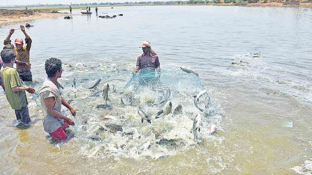 బడుగుల బంధువు కాదు.. బరువు