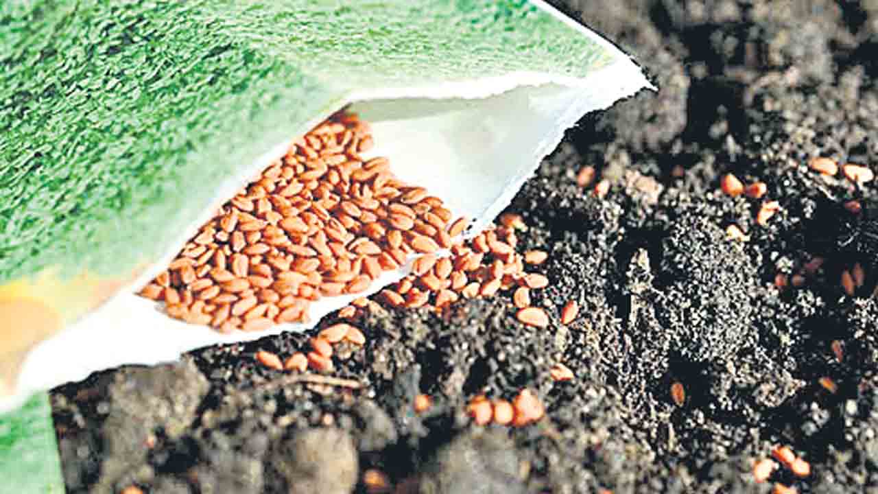 Telangana | ముందే పలకరించిన తొలకరి.. రాష్ట్ర అవసరాలకు సరిపడా లేని ఎరువులు, విత్తనాలు