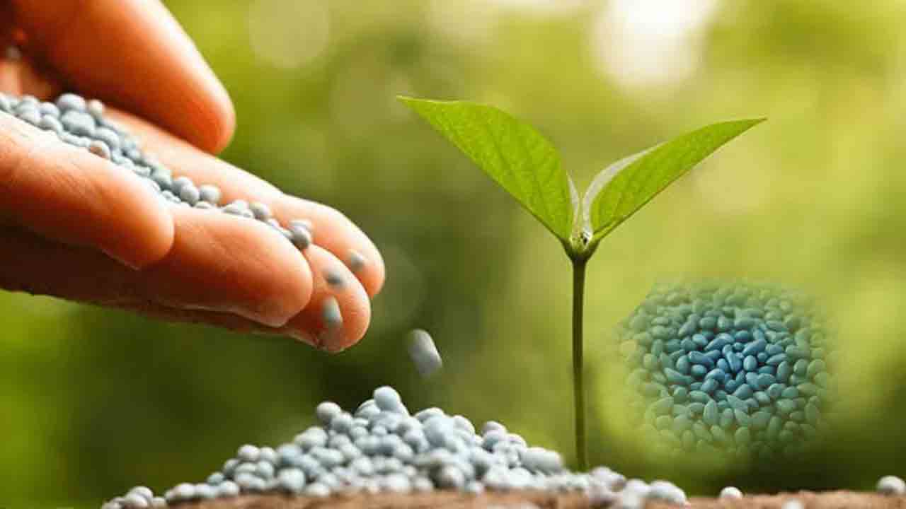 సీడ్‌ బీకేర్‌పుల్‌