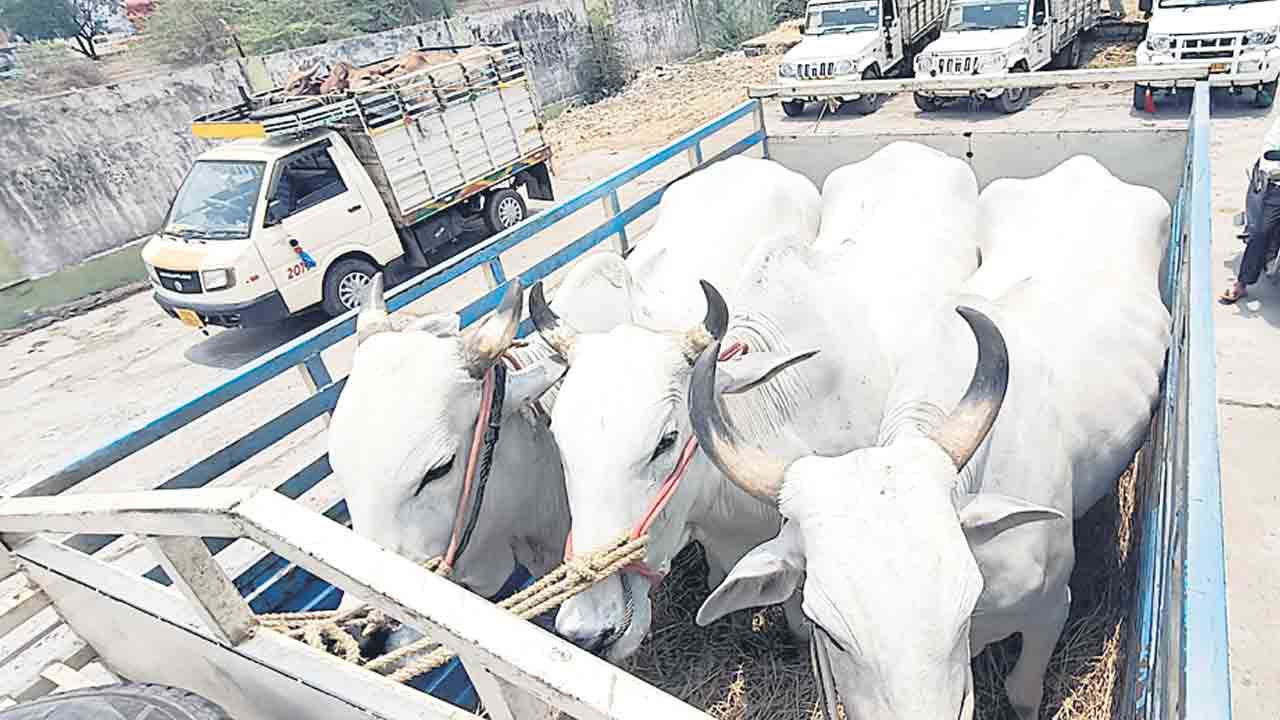 మూగరోదన