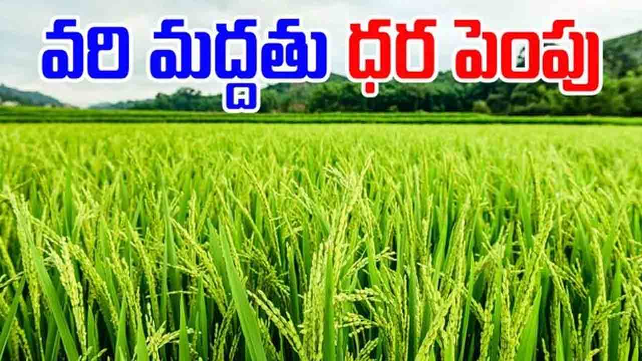 వరికి మద్దతు రూ.69 పెంపు