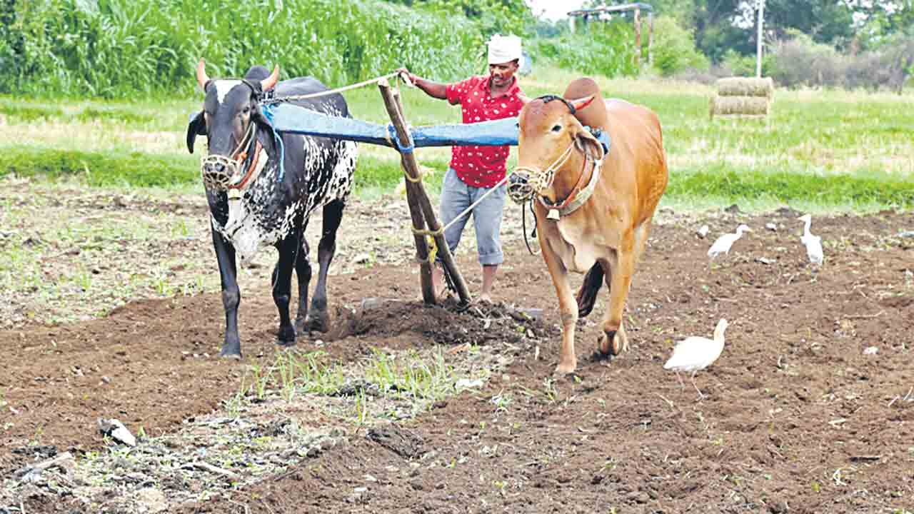 అప్పులే శరణ్యం..!