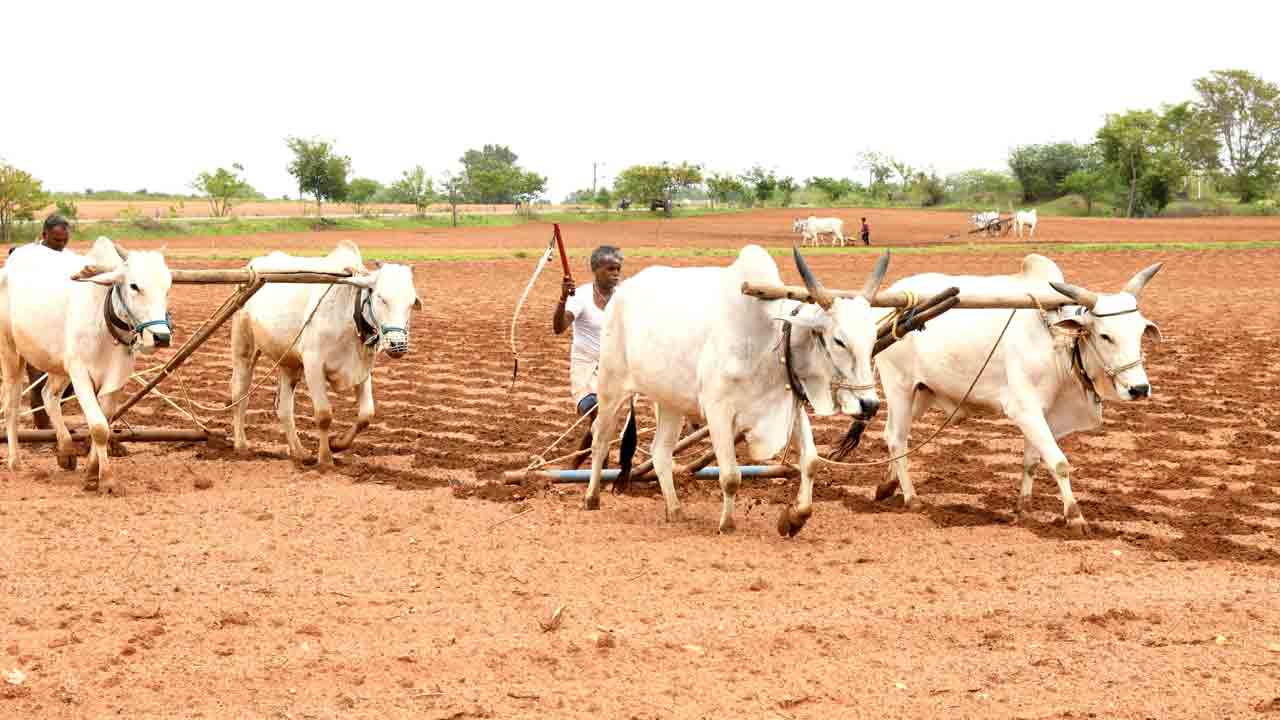 కోటి ఆశలతో..