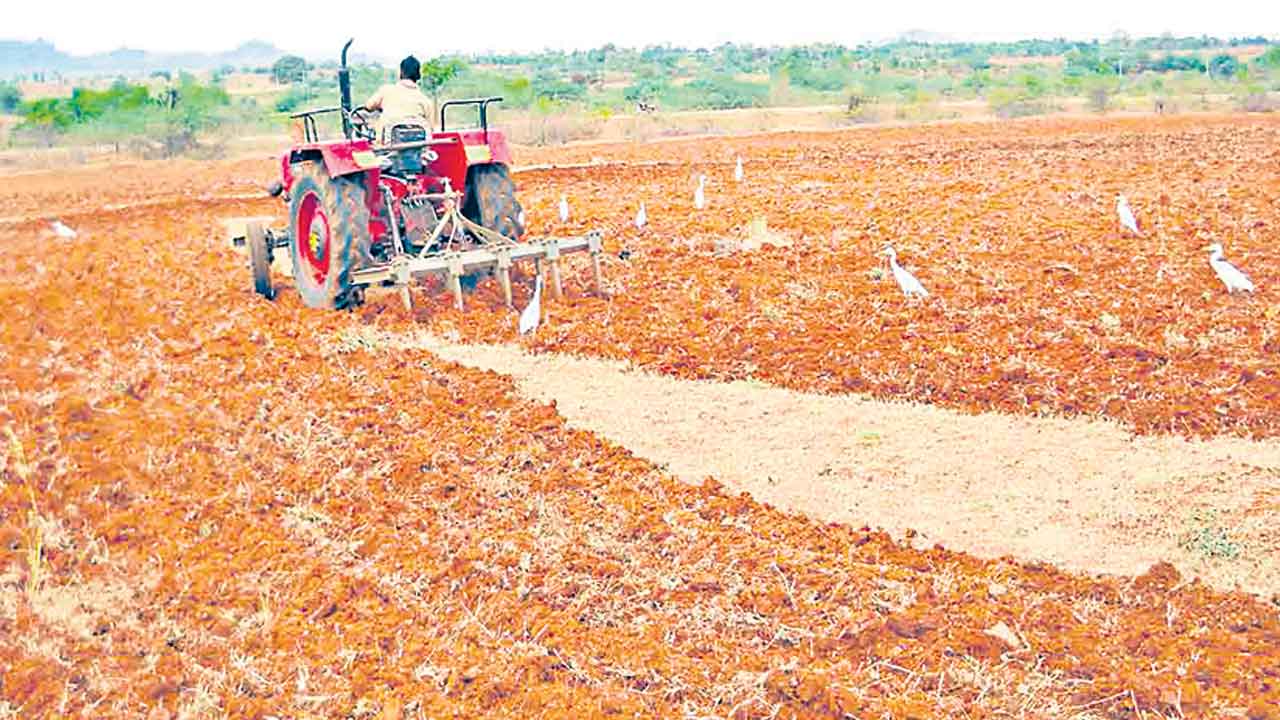 పంటల మార్పిడితో.. భూసారానికి మేలు