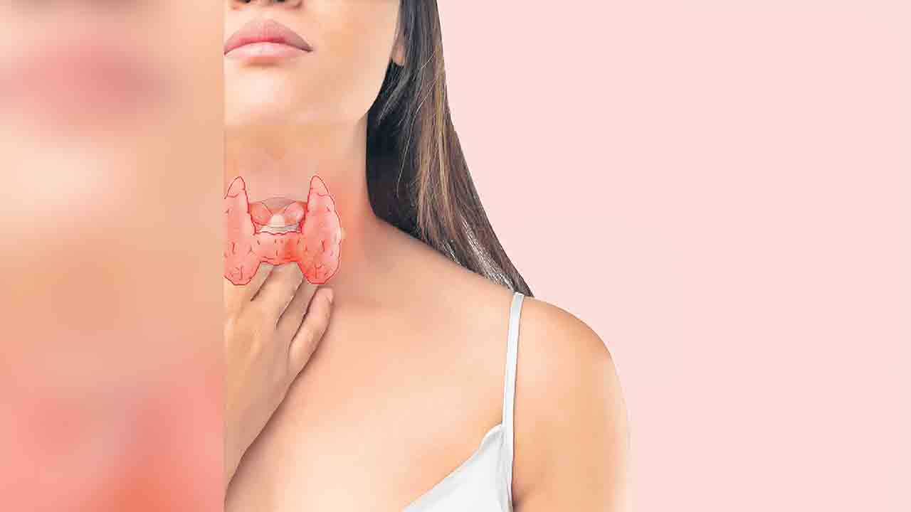 థైరాయిడ్‌.. జీవక్రియల రారాజు