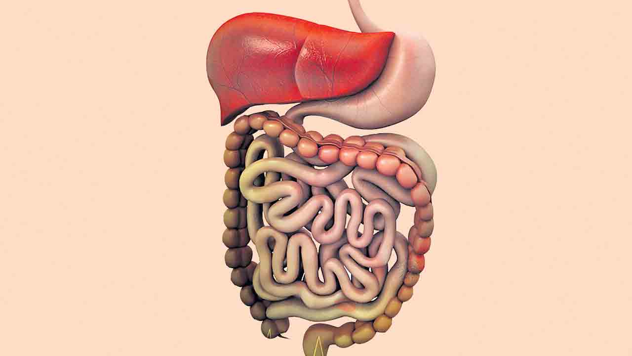 పెద్దపేగు.. ఇలా పరిశుభ్రం!