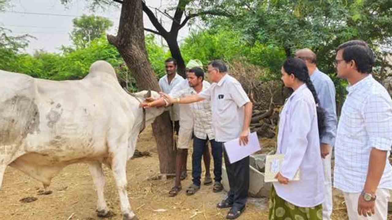 Deputy Director Laxman | పశువుల ఆరోగ్యం కోసం గాలికుంటు టీకాలు తప్పనిసరిగా వేయించాలి : డీడీ లక్ష్మణ్