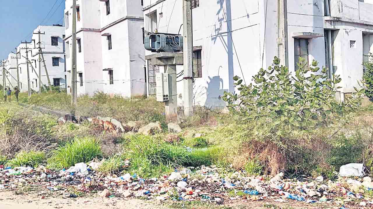 సమస్యల వలయంలో డబుల్‌ బెడ్‌రూమ్‌ కాలనీ