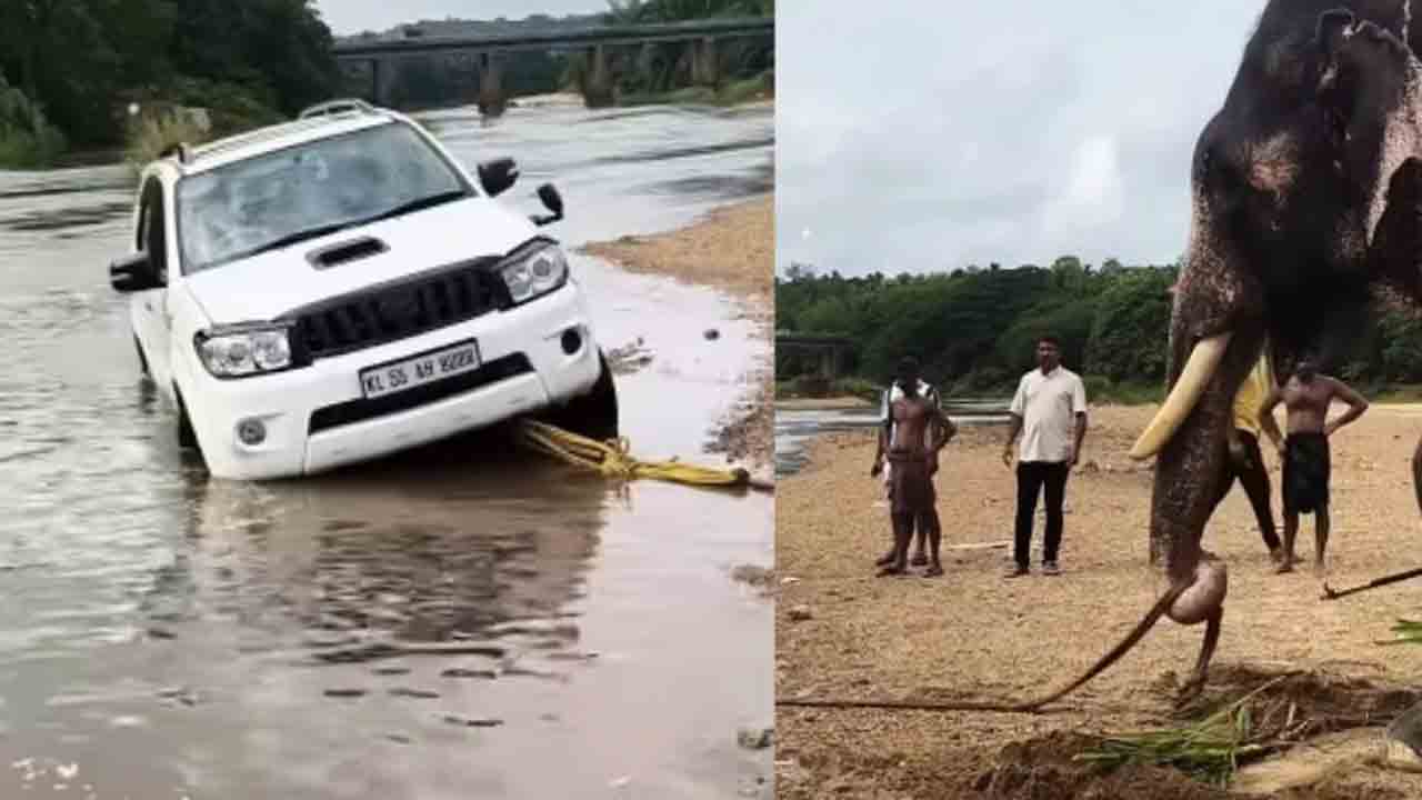 Watch: నదిలో చిక్కుకున్న కారు.. ఏనుగు ఎలా బయటకు లాగిందంటే?