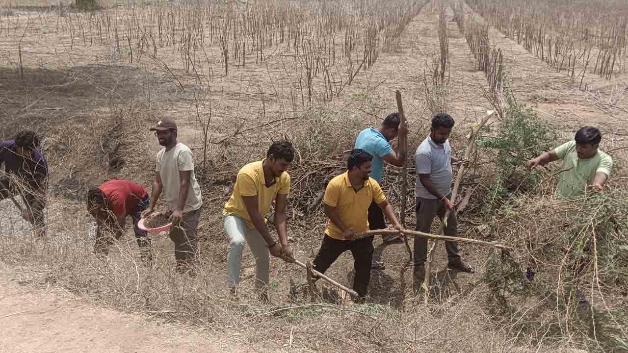 ఉపాధి హామీ కూలీలుగా నిరుద్యోగ యువత