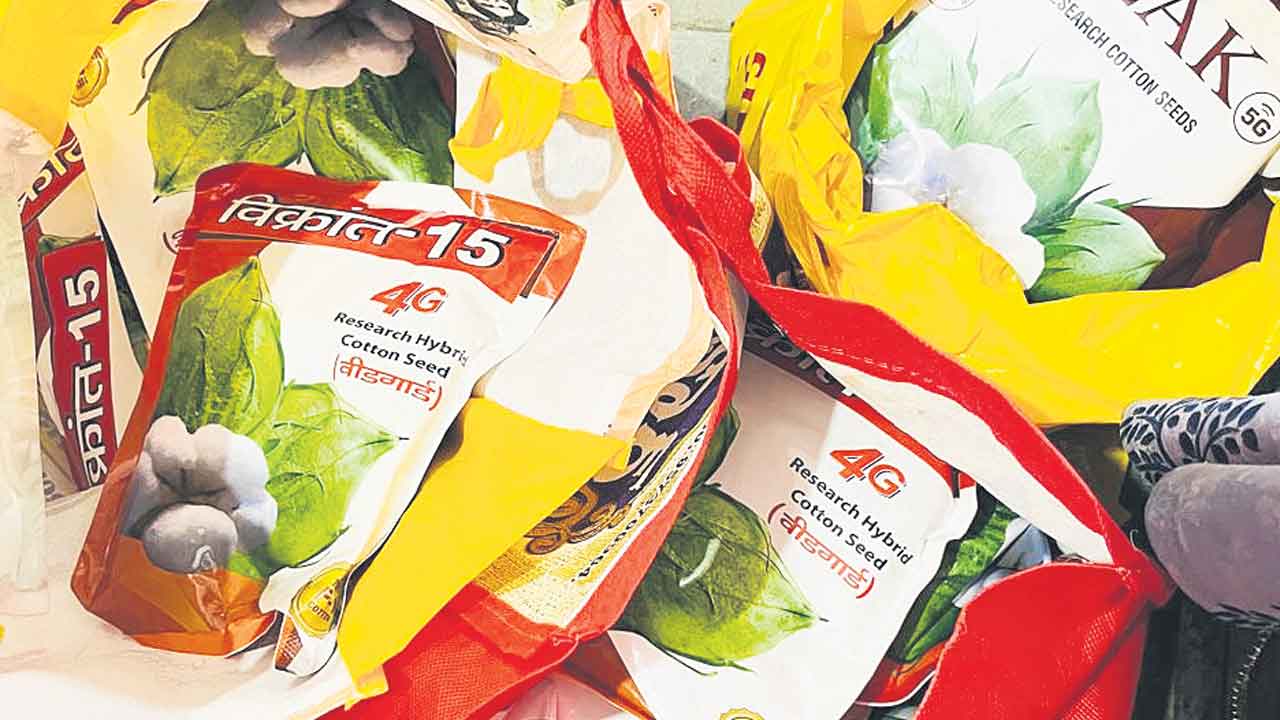 నకిలీ విత్తనాలు సీజ్‌