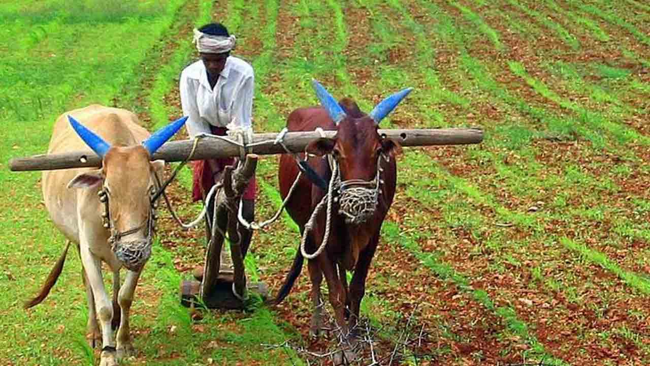 Farmer Training Camp | సురభి గోశాల ఆధ్వర్యంలో గో ఆధారిత రైతు శిక్షణ శిబిరం