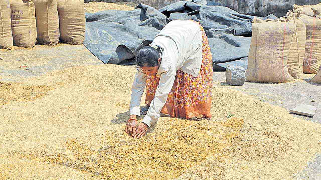 Congress Govt | సన్నాల రైతుకు సున్నం.. బోనస్‌ చెల్లింపులో కాంగ్రెస్‌ సర్కారు నిర్లక్ష్యం